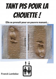 eBook: Tant pis pour la chouette !