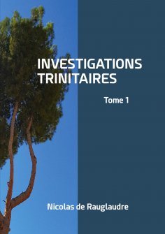 ebook: Investigations trinitaires