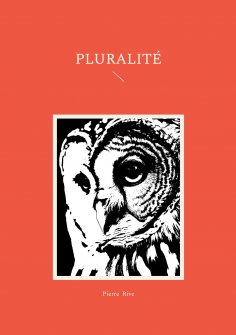 eBook: Pluralité