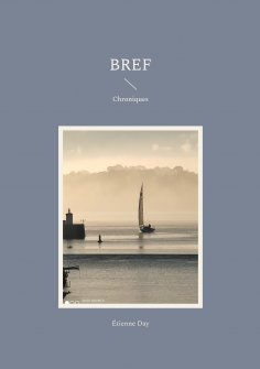 ebook: Bref