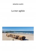 ebook: crise familiale