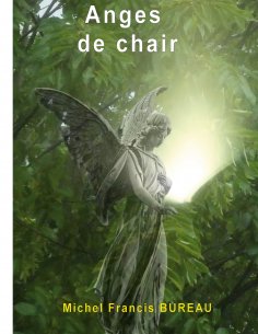 eBook: Anges de chair
