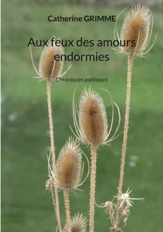 eBook: Aux feux des amours endormies