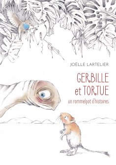 eBook: Gerbille et Tortue