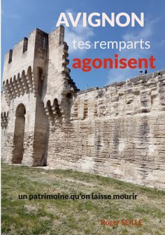 eBook: Avignon, tes remparts agonisent