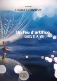 eBook: Un feu d'artifice dans ma vie