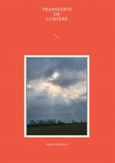 ebook: Transferts de lumière