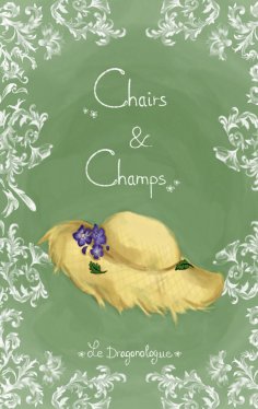 eBook: Chairs et Champs