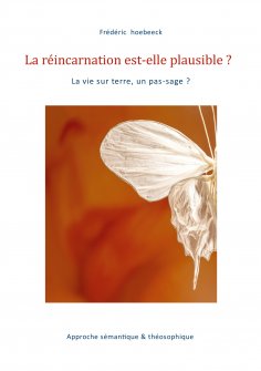 eBook: La réincarnation est-elle plausible ?