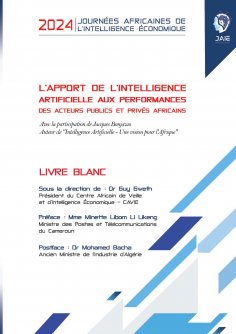 eBook: L'apport de l'intelligence artificielle aux performances des acteurs publics et privés africains