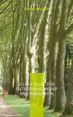 ebook: 25 Key Ideas for Entrepreneurship and Innovation