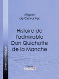 ebook: Histoire de l'admirable Don Quichotte de la Manche