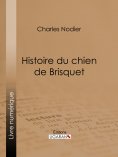 ebook: Histoire du chien de Brisquet