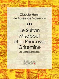ebook: Le Sultan Misapouf et la Princesse Grisemine