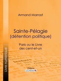 eBook: Sainte-Pélagie (détention politique)