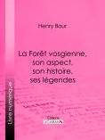 eBook: La Forêt vosgienne, son aspect, son histoire, ses légendes