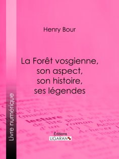 ebook: La Forêt vosgienne, son aspect, son histoire, ses légendes