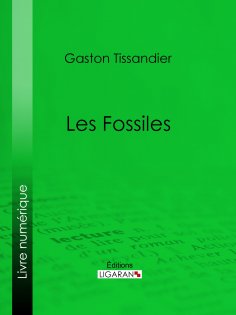 ebook: Les Fossiles