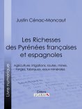 eBook: Les Richesses des Pyrénées françaises et espagnoles