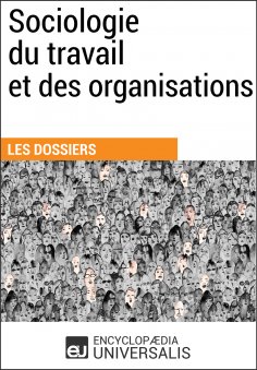 eBook: Sociologie du travail et des organisations