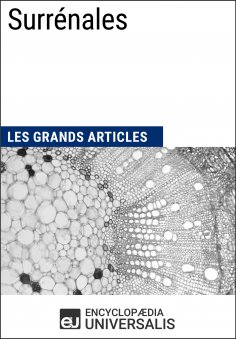 ebook: Surrénales
