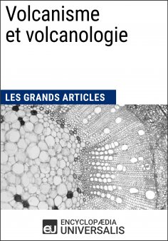 ebook: Volcanisme et volcanologie