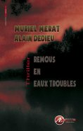 ebook: Remous en eaux troubles