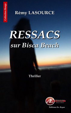 eBook: Les chroniques policières de Biscarrosse - Tome 1