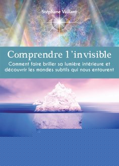 ebook: Comprendre l'invisible