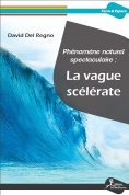 ebook: Phénomène naturel spectaculaire : la vague scélérate