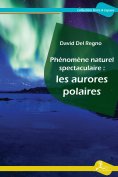 ebook: Phénomène naturel spectaculaire : les aurores polaires