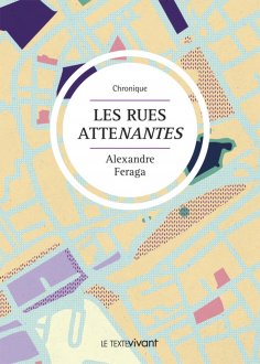 eBook: Les rues atteNantes