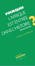 eBook: Pourquoi l'Afrique est entrée dans l'Histoire (sans nous)