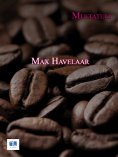 ebook: Max Havelaar