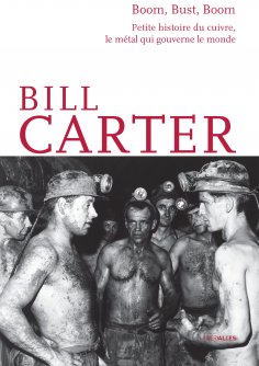 ebook: Boom, Bust, Boom