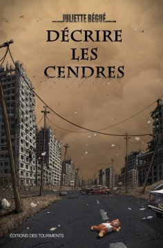 ebook: Décrire les Cendres