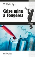 ebook: Grise mine à Fougères