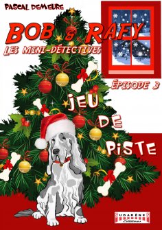 ebook: Bob et Rafy, les mini-détectives - Tome 3