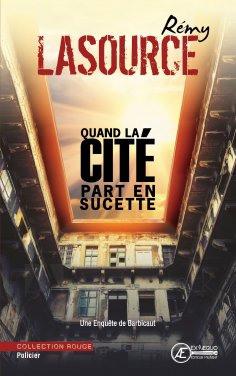 eBook: Quand la cité part en sucette