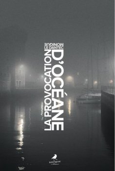 eBook: La provocation d'Océane