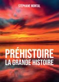 eBook: Préhistoire, la grande Histoire