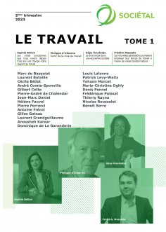 eBook: Revue Sociétal : Le travail - Tome 1