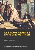 ebook: Les Souffrances du jeune Werther