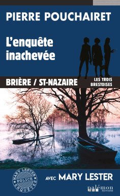 eBook: L'enquête inachevée