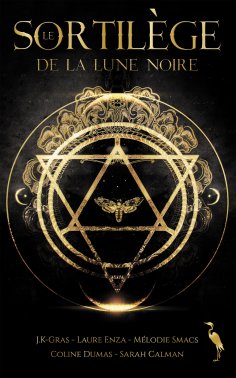 eBook: Le sortilège de la lune noire