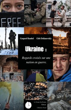 eBook: Ukraine : regards croisés sur une nation en guerre