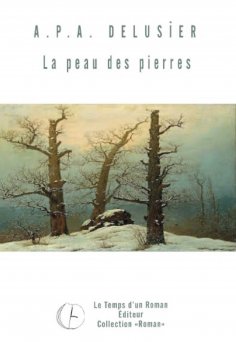eBook: La peau des pierres