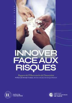 ebook: Innover face aux risques
