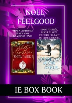 eBook: Box book de Noël : Dinde fourrée, bûche glacée et coeur coulant - What a christmas in New York