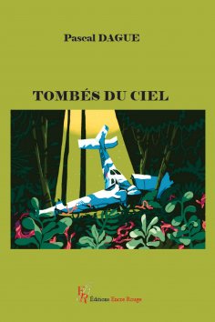 eBook: Tombés du ciel